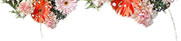 weddings in Cyprus