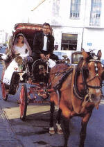 Horse and Carriage for hire - your wedding in Cyprus in Style