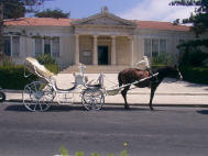 Horse and carriage for your wedding in Paphos (Pafos) Cyprus 